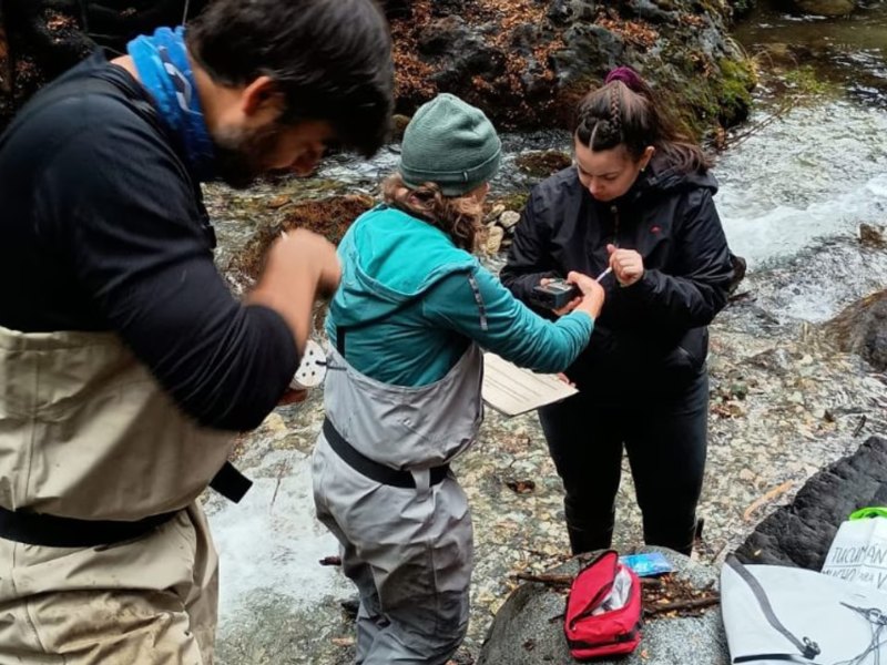 Un estudio comprobó que los incendios forestales alteraron la calidad del agua en la Patagonia Un estudio comprobó que los incendios forestales alteraron la calidad del agua en la Patagonia