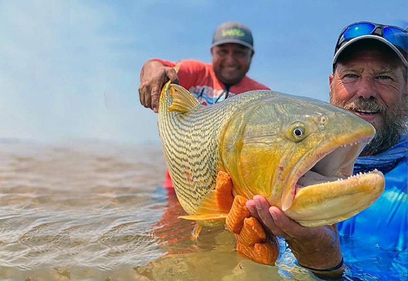 Lanzan oficialmente la 61º Fiesta Nacional de Pesca del Dorado en Buenos Aires Lanzan oficialmente la 61º Fiesta Nacional de Pesca del Dorado en Buenos Aires