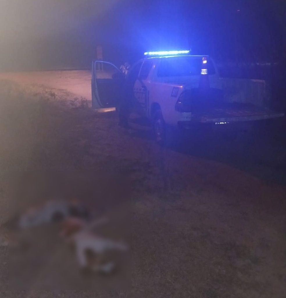 Charadai: detuvieron a un hombre por una causa de maltrato y crueldad animal Charadai: detuvieron a un hombre por una causa de maltrato y crueldad animal