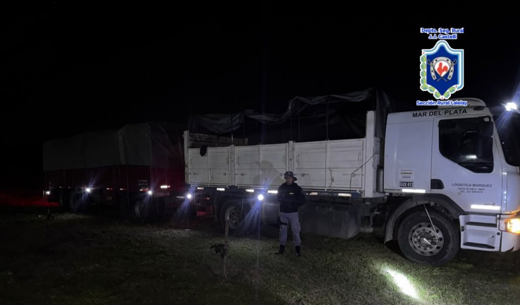 Castelli: incautaron 18 toneladas de leña sin documentación durante un control rural