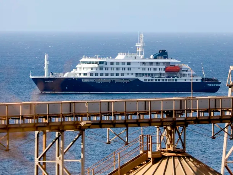 La OMS declaró el fin del brote de hantavirus vinculado al crucero que partió de la Argentina La OMS declaró el fin del brote de hantavirus vinculado al crucero que partió de la Argentina