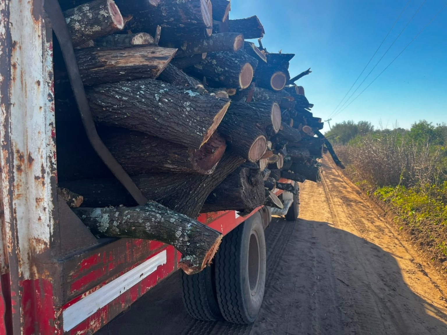 Tres Isletas: secuestraron 11 toneladas de madera transportada sin documentación durante un operativo rural Tres Isletas: secuestraron 11 toneladas de madera transportada sin documentación durante un operativo rural