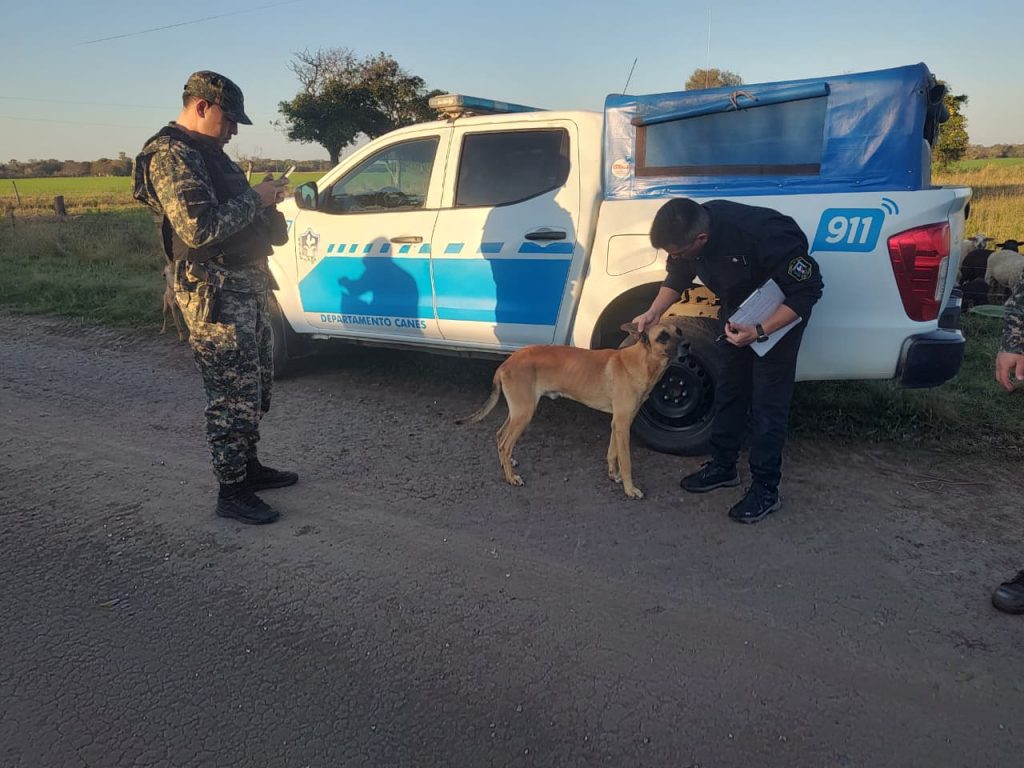 Allanamiento en Basail: secuestraron cuatro perros en una causa por presunto maltrato animal Allanamiento en Basail: secuestraron cuatro perros en una causa por presunto maltrato animal