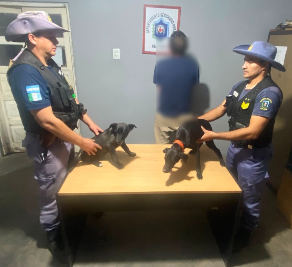 Villa Ángela: detuvieron a un hombre por presunto maltrato animal hacia dos perras cachorras