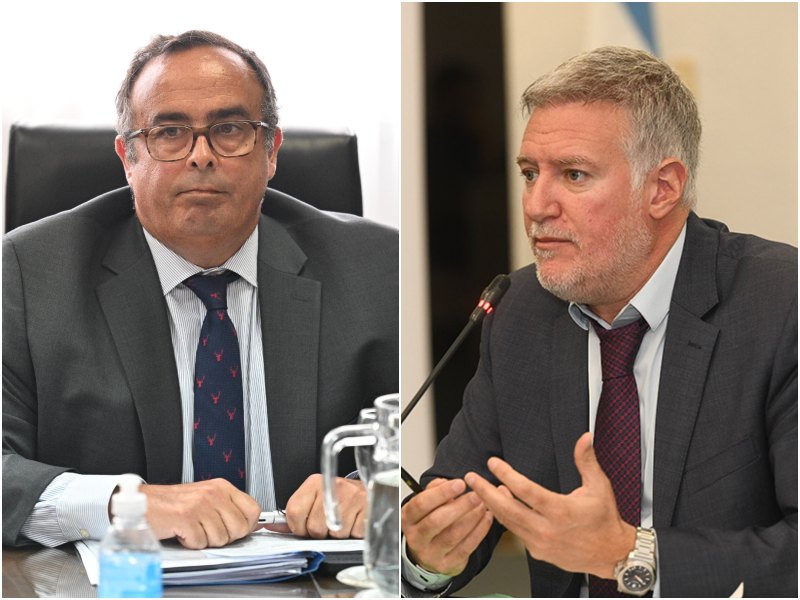 El Senado toma examen a los jueces Bertuzzi y Yadarola que tendrán en sus manos causas claves para el Gobierno El Senado toma examen a los jueces Bertuzzi y Yadarola que tendrán en sus manos causas claves para el Gobierno