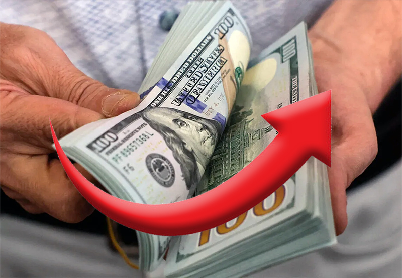 Desde la apertura del cepo, los argentinos compraron casi u$s45.000 millones Desde la apertura del cepo, los argentinos compraron casi u$s45.000 millones