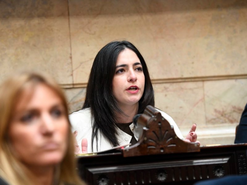 Julieta Campo reclamó una tarifa eléctrica justa: “Vivir en el Norte no puede ser un castigo” Julieta Campo reclamó una tarifa eléctrica justa: “Vivir en el Norte no puede ser un castigo”