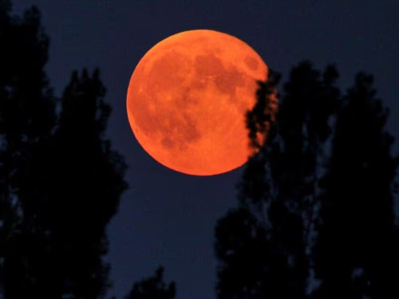 Eclipse lunar: cuándo y dónde podrá verse en Argentina Eclipse lunar: cuándo y dónde podrá verse en Argentina