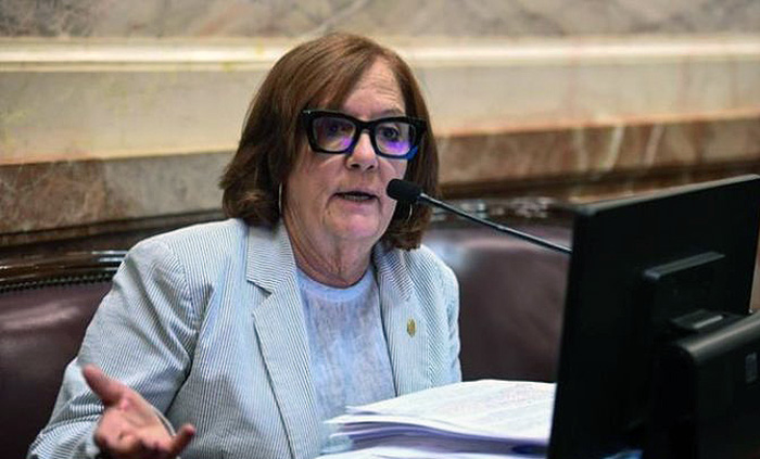 Senadora aliada anticipó que votará en contra de la modificación a la ley de Tierras y complica al Gobierno Senadora aliada anticipó que votará en contra de la modificación a la ley de Tierras y complica al Gobierno