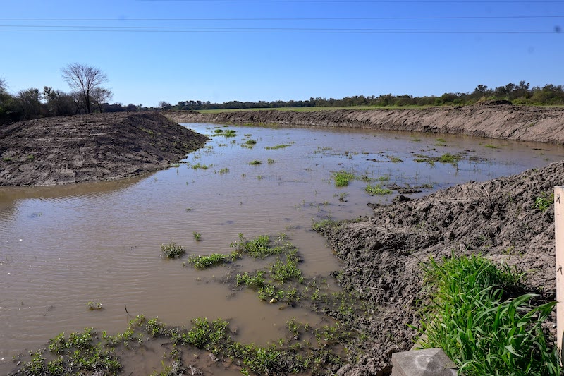 Avanza la limpieza del canal Río Muerto-Las Colonias, una obra esperada por más de 30 años en el sudoeste Avanza la limpieza del canal Río Muerto-Las Colonias, una obra esperada por más de 30 años en el sudoeste