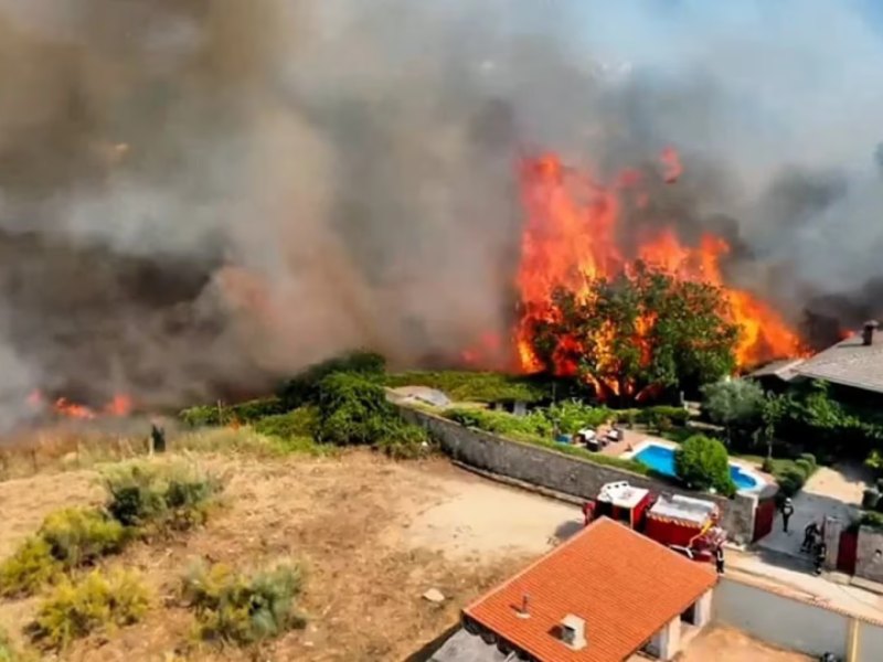 España sufrió la pérdida de más de 240.000 hectáreas por incendios forestales España sufrió la pérdida de más de 240.000 hectáreas por incendios forestales