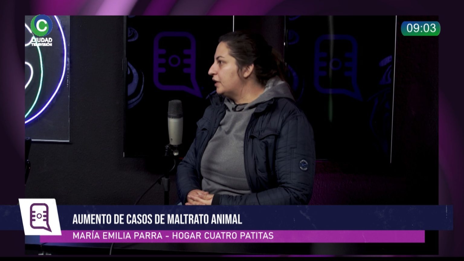 “Va a llegar un momento que no vamos a tener más espacio para albergar perritos”: crecen los casos de maltrato animal y las organizaciones proteccionistas están al límite “Va a llegar un momento que no vamos a tener más espacio para albergar perritos”: crecen los casos de maltrato animal y las organizaciones proteccionistas están al límite