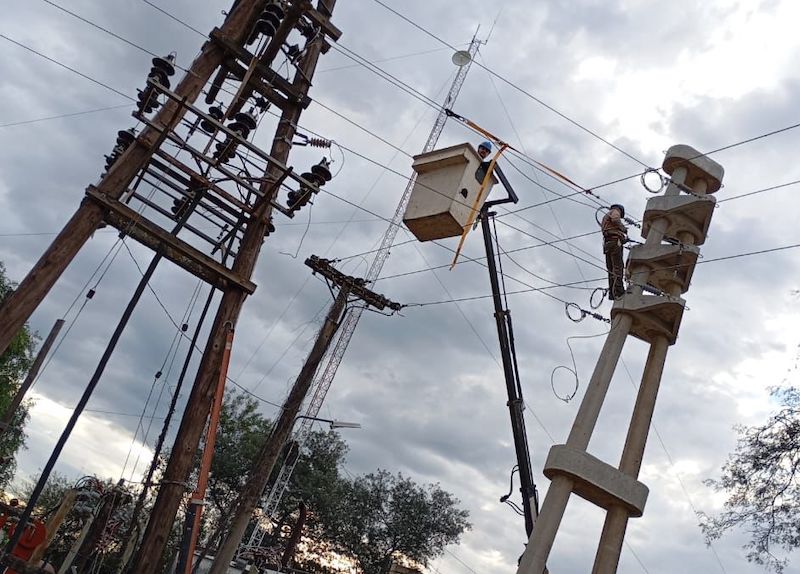SECHEEP intensifica los trabajos para normalizar el servicio eléctrico tras el temporal SECHEEP intensifica los trabajos para normalizar el servicio eléctrico tras el temporal