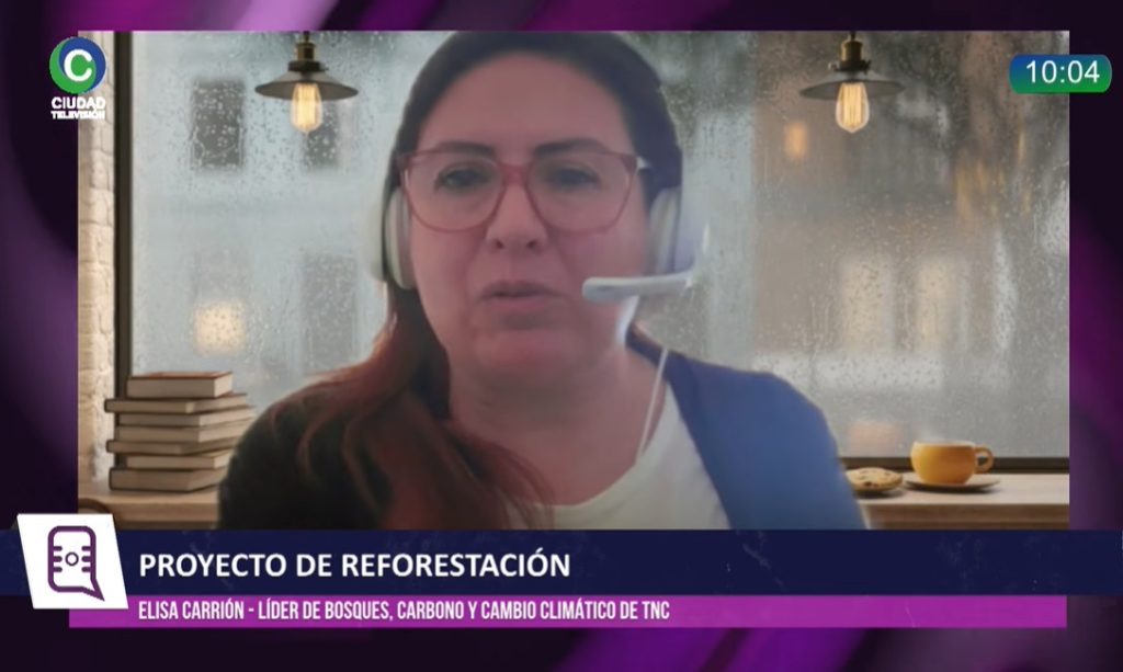 Reforestación en Chaco: “Cuando se decide instalar árboles es porque ahí hay una degradación alta”
