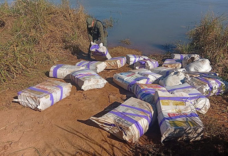 Gendarmería Argentina halló 800 kilos de marihuana a la vera del Río Paraná Gendarmería Argentina halló 800 kilos de marihuana a la vera del Río Paraná