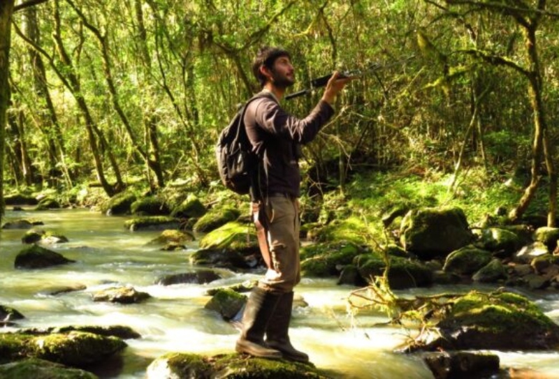 Investigador de la UNNE premiado por “Aves Argentinas” para estudiar al carpintero blanco en el NEA Investigador de la UNNE premiado por “Aves Argentinas” para estudiar al carpintero blanco en el NEA