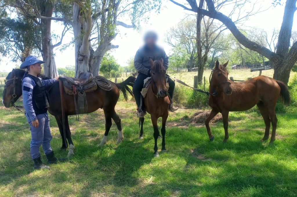 Un caballo reconocido por su dueño destapó una operación irregular de compra y venta Un caballo reconocido por su dueño destapó una operación irregular de compra y venta
