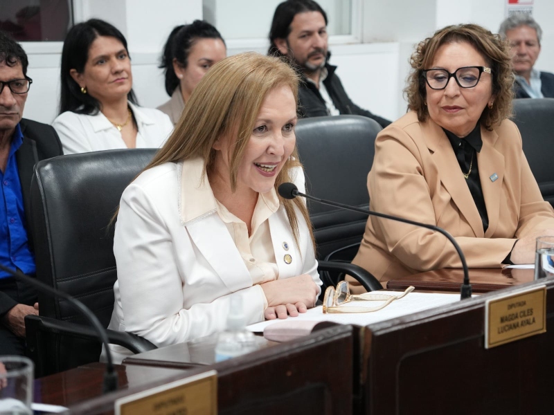 La diputada Laura Fogar reemplazará a Magda Ayala en el Consejo de la Magistratura La diputada Laura Fogar reemplazará a Magda Ayala en el Consejo de la Magistratura