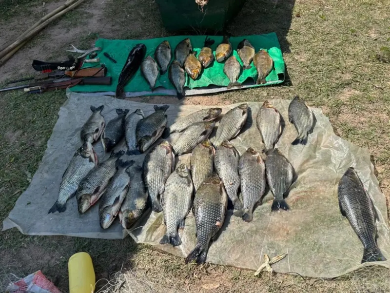 Detuvieron a dos pescadores santafesinos por pesca ilegal y con mallones en plena veda en el Paraná Detuvieron a dos pescadores santafesinos por pesca ilegal y con mallones en plena veda en el Paraná