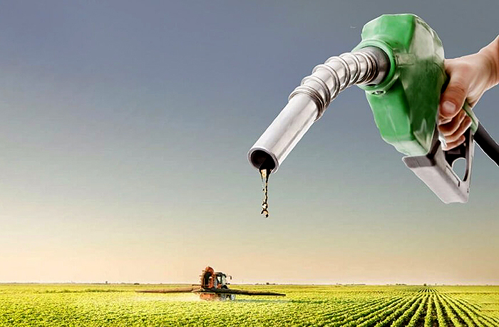 Logística del campo: el gasoil y los fletes golpean la rentabilidad de la nueva campaña Logística del campo: el gasoil y los fletes golpean la rentabilidad de la nueva campaña