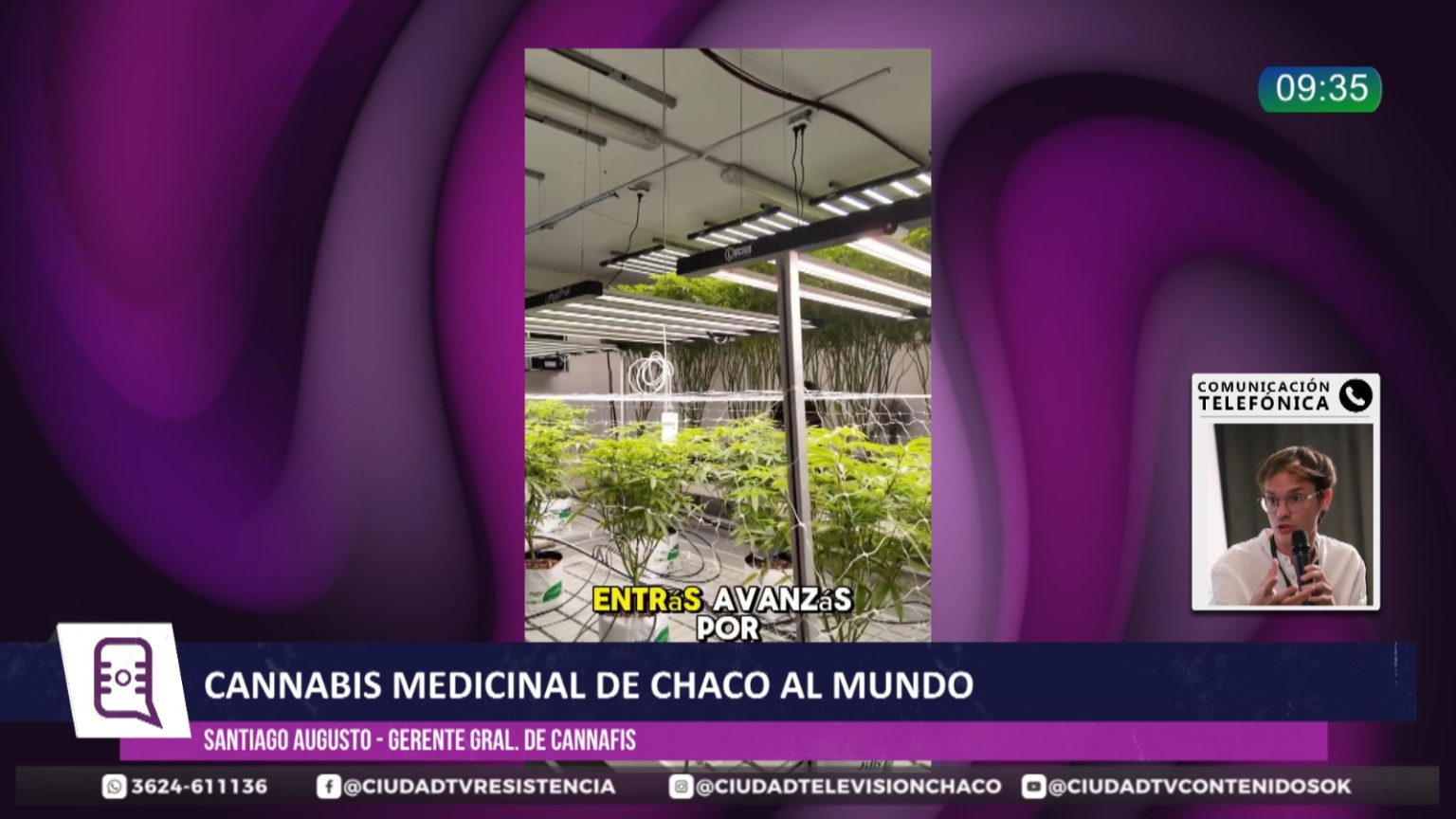 El cannabis medicinal chaqueño desembarca en Alemania: “Hace cinco o seis años era impensado” El cannabis medicinal chaqueño desembarca en Alemania: “Hace cinco o seis años era impensado”