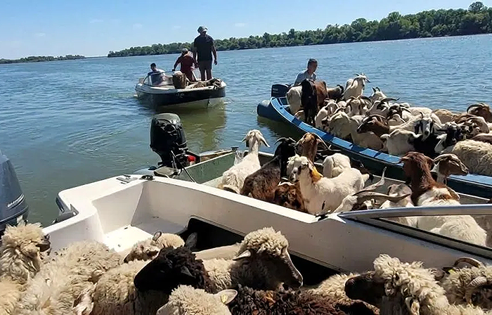 Ituzaingó se quedó sin playas y en la Isla Apipé ya son más de 10 las familias evacuadas Ituzaingó se quedó sin playas y en la Isla Apipé ya son más de 10 las familias evacuadas
