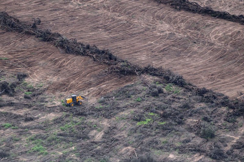 Según el proyecto de Ley de Presupuesto, el Gobierno destinará por mes para cuidar cada hectárea de bosque argentino Según el proyecto de Ley de Presupuesto, el Gobierno destinará por mes para cuidar cada hectárea de bosque argentino