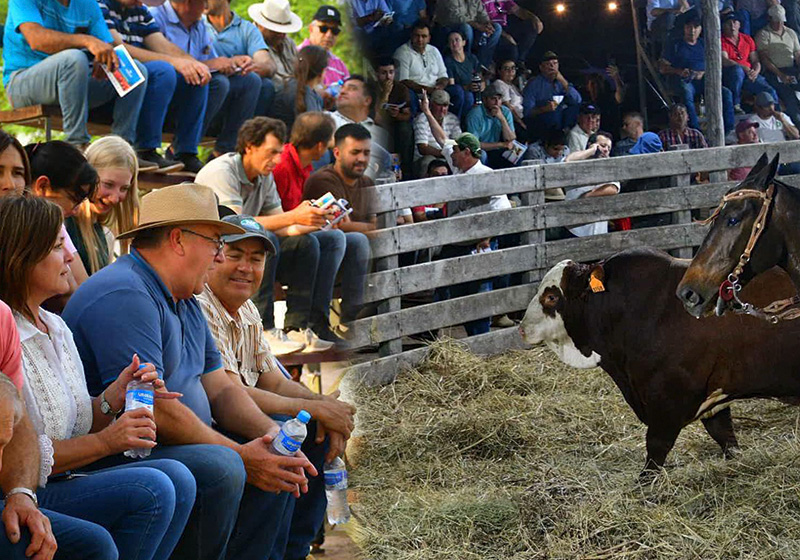 El intendente Sander participó del tradicional remate de reproductores a campo El intendente Sander participó del tradicional remate de reproductores a campo