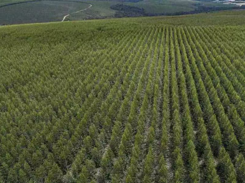La Justicia ordenó informar cuánta tierra bonaerense está en manos de extranjeros La Justicia ordenó informar cuánta tierra bonaerense está en manos de extranjeros