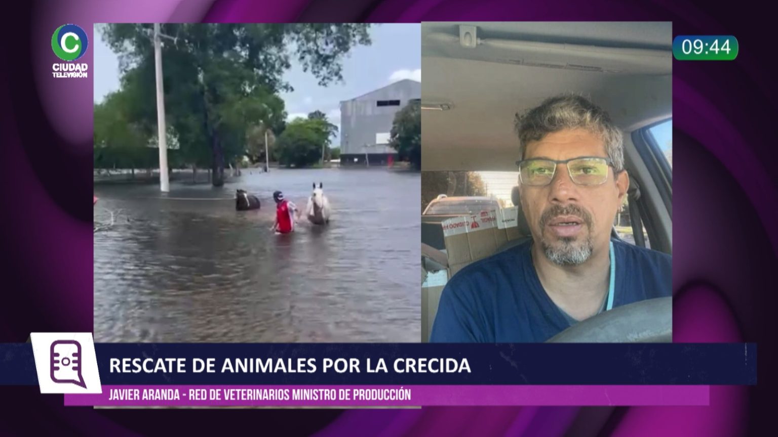 La otra cara de la inundación: animales heridos, enfermos y muertos por la crecida de los ríos