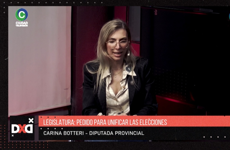 Enmienda constitucional para unificar los comicios en Chaco: “Es técnicamente inviable”, afirmó Botteri Enmienda constitucional para unificar los comicios en Chaco: “Es técnicamente inviable”, afirmó Botteri