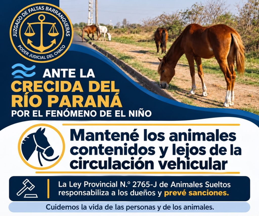 Barranqueras: ante la crecida del Paraná recomiendan cuidar a los animales para evitar accidentes Barranqueras: ante la crecida del Paraná recomiendan cuidar a los animales para evitar accidentes