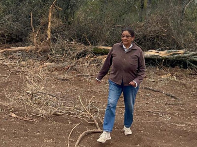 Denuncian desmontes en tierras de una comunidad indígena de Santiago del Estero Denuncian desmontes en tierras de una comunidad indígena de Santiago del Estero